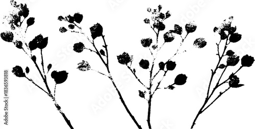 Frost-coated berry branches in black and white stencil art illustration for winter design