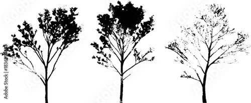 Frost-covered twig silhouette in black and white stencil illustration for winter design