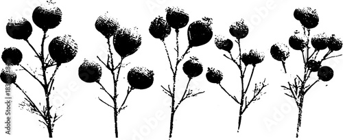 Black and white stencil of frost-coated berries for wall art or print design