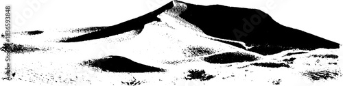 Black and white stencil of frost-dusted sands with desert landscape silhouette