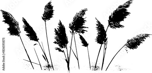 Frost-kissed marsh reeds silhouette illustration for nature-themed art