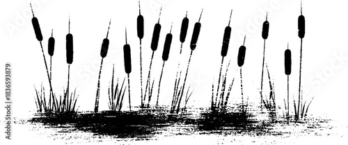 Black and white stencil illustration of frozen reeds in winter landscape design