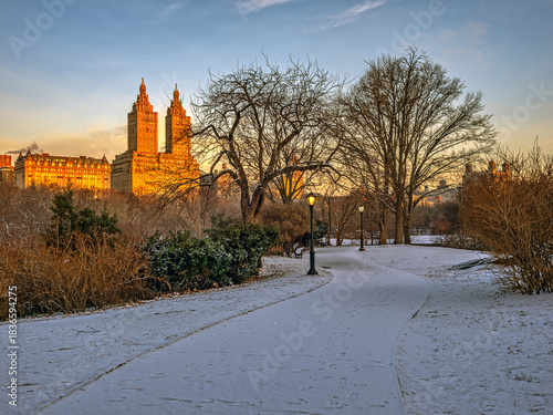 Central Park in winter  after light snow