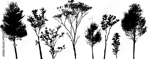 Black and white stencil illustration of hardy mountain shrubs for nature-inspired designs