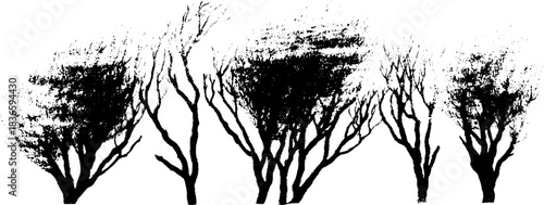 Monochrome stencil art of hardy mountain shrubs for natural decor and design