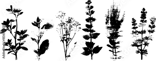 Black and white stencil design of hardy mountain shrubs for nature-inspired artwork