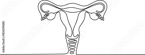 One continuous line drawing of woman uterus. Ovary and womb reproductive system in simple linear style for logo and web banner gynecology medical clinic. one line Icon drawing