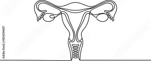 One continuous line drawing of woman uterus. Ovary and womb reproductive system in simple linear style for logo and web banner gynecology medical clinic. one line Icon drawing