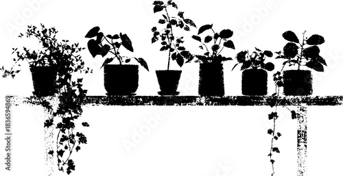 Black and white stencil illustration of houseplants on shelf for minimalist design