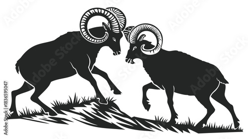 Vector illustration silhouette illustration of two bighorn sheep rams locking horns in a dramatic headtohead battle on grassy terrain
