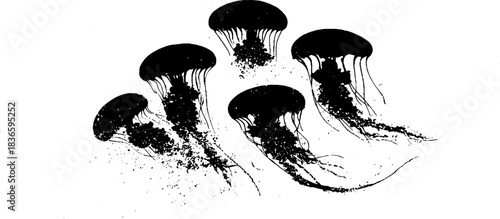 Black and white jellyfish stencil illustration - marine art design for posters and cards