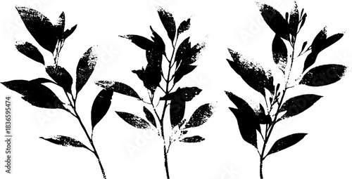 Black and white stencil of layered foliage silhouette for artistic design