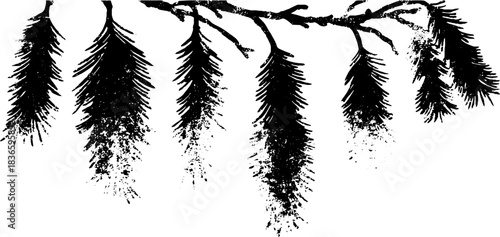 Black and white stencil illustration of long pine branches with textured splatter effects for nature art design