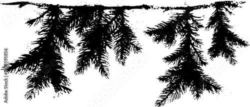 Black and white stencil of pine branches for nature and art design