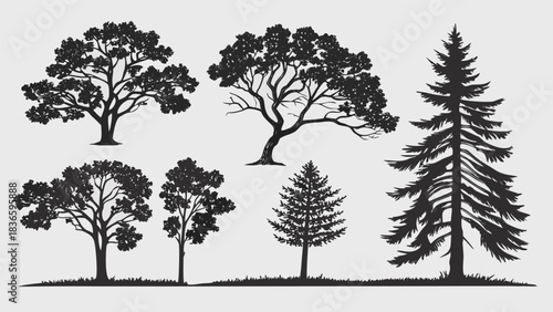 Vector illustration collection of diverse tree silhouettes in black and white, showcasing various deciduous and coniferous species for design use