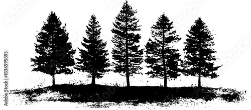 Black and white stencil illustration of long pine shadows for nature design