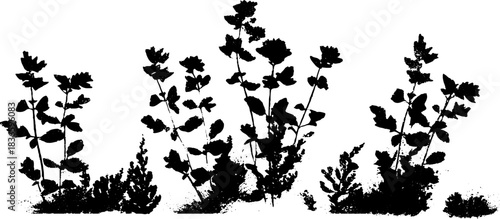 Monochrome stencil illustration of miniature desert shrubs for urban art design
