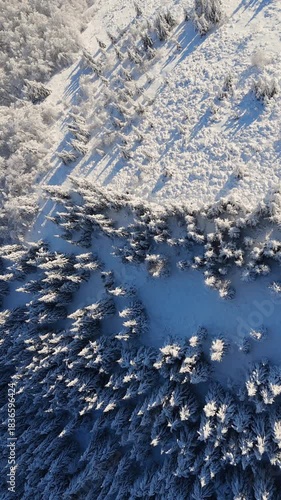 Vertical Aerial view of sharp boundary between sunlit snowy slope and dense forest in deep blue shadow