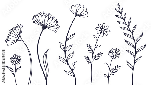 Vector illustration collection of delicate handdrawn wild flower and botanical line art illustrations
