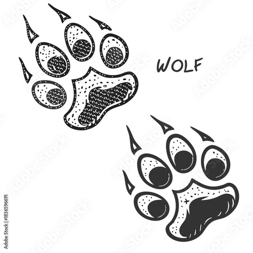 Vector illustration engraved style illustration of two wolf paw prints with the word wolf written next to them
