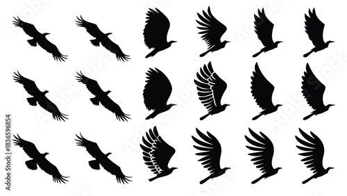 Vector illustration collection of black silhouette icons depicting an eagle in various stages of flight and wing positions