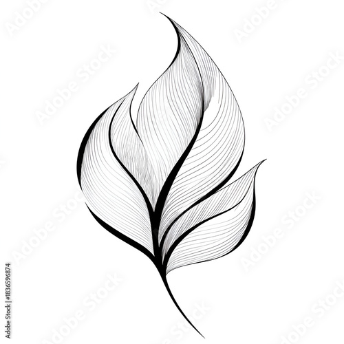 Delicate black and white line drawing of a stylized leaf