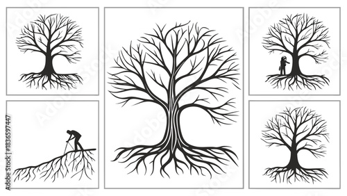 Vector illustration collection of five black and white illustrations depicting bare trees with extensive root systems