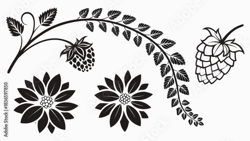Vector illustration black and white botanical illustration set featuring stylized flowers, a raspberry, and a hop cone