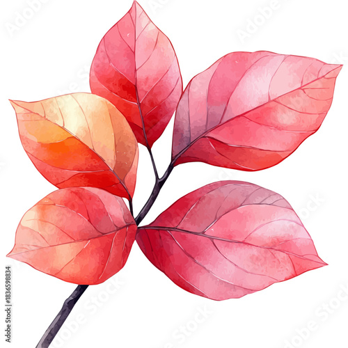 Amaranth Branch, watercolor illustration featuring playful movement and lively expressions, isolated on a white background.