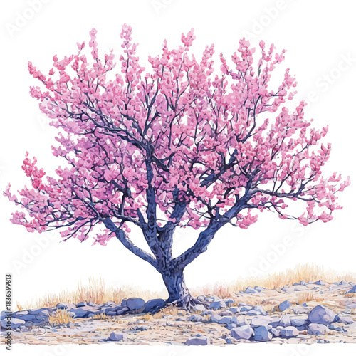 Almond Tree, watercolor painting capturing graceful lines and soft blended shades, isolated on a white background.