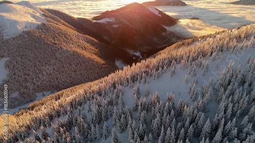 Slow rising aerial over snowy winter mountains and sea of clouds filling valley at sunrise with frosted forest