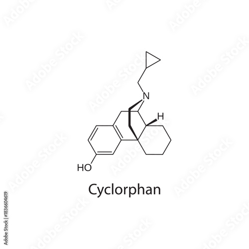 Cyprenorphine Molecular Structure Vector