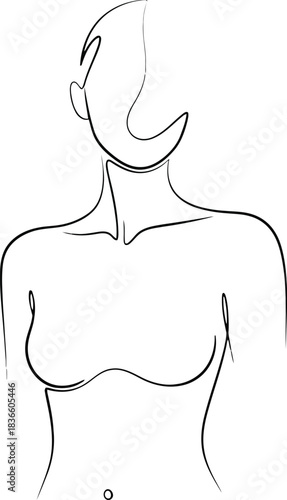 Minimalist Line Art Female Torso Outline Keywords: female, torso, body, outline, line art