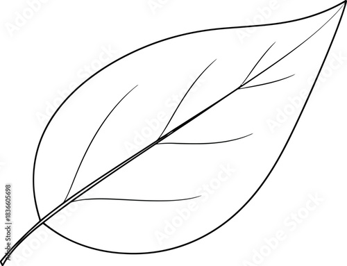 Simple Outline Drawing of a Single Leaf plant