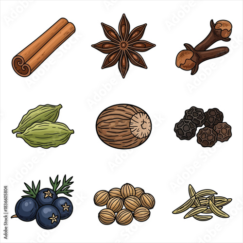 Grid of Nine Illustrated Cooking Spices in Colorful Detail