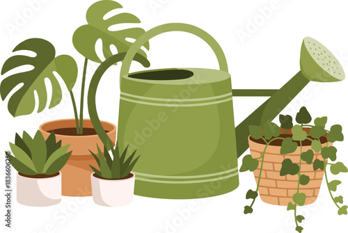 Group of potted plants next to watering can for indoor gardening and house decoration with various plants vector illustration