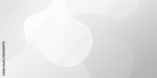 White and gray curve overlap abstract minimalist background. texture white pattern. vector illustration