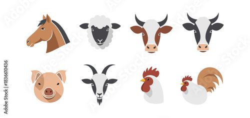 Farm animal illustrations heads collection vector graphics
