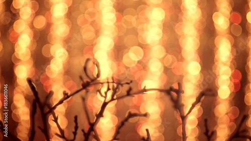 Abstract lights bokeh background with plant silhouettes for festive celebrations scenes or magical