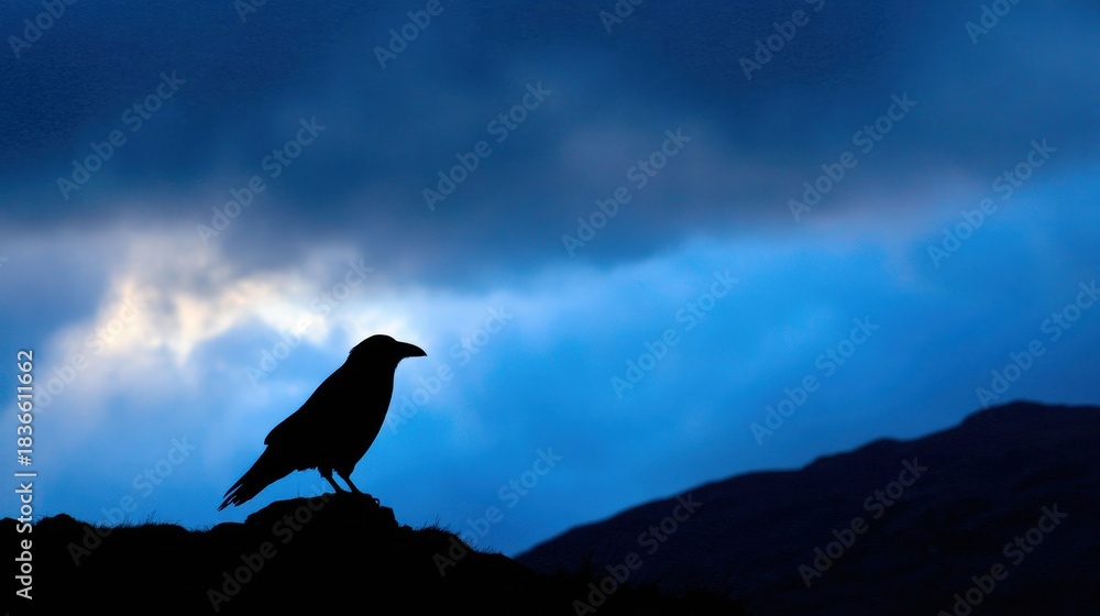 Fototapeta premium Raven Silhouette Above Scottish Highlands as a Symbol of Prophecy in Celtic Folklore During Twilight Hours