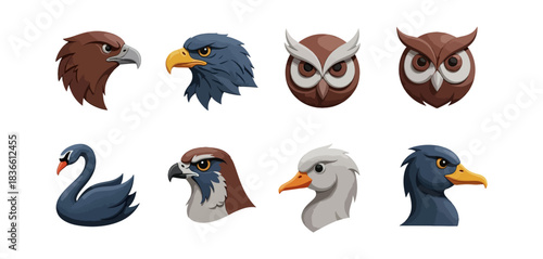 Illustrated birds collection various species featuring eagles owls and swans