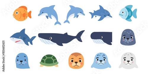 Marine animal illustrations dolphin fish seal whale turtle vector