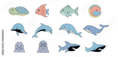 Marine life collection vector illustrations fish dolphin turtle seal shark