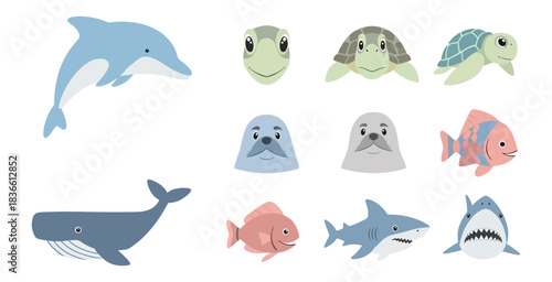 Marine life collection vector illustrations of aquatic animals