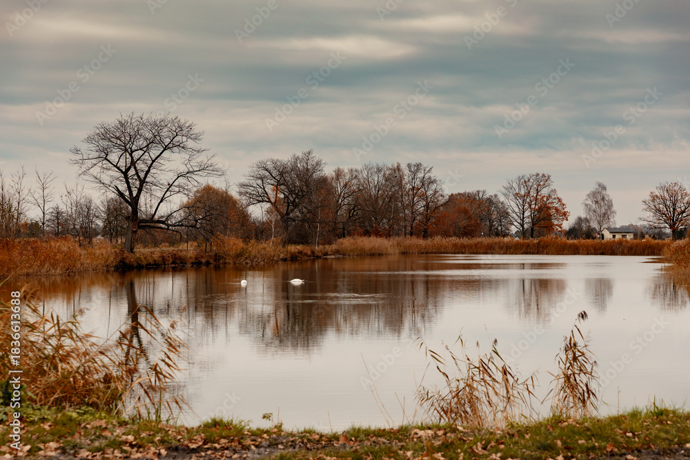 Fototapeta premium A cloudy autumn day at a lake with distant trees, Poland, background or wallpaper