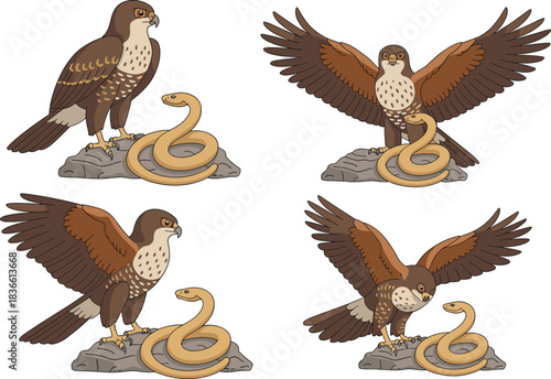 Cartoon hawk and snake interaction illustration set showing predator and prey scenes with flying raptor, perched bird and defensive serpent poses