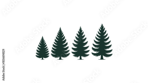 Four silhouetted evergreen pine trees of varying heights standing tall against a clean white background