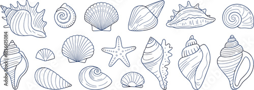 Hand-drawn seashell illustrations, ocean elements, coastal line art, beach decor, marine shell collection, nautical doodles, sea life graphics, seaside design set