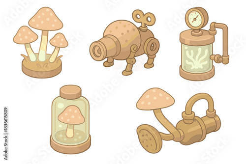 Collection of various types of mushrooms and other odd objects