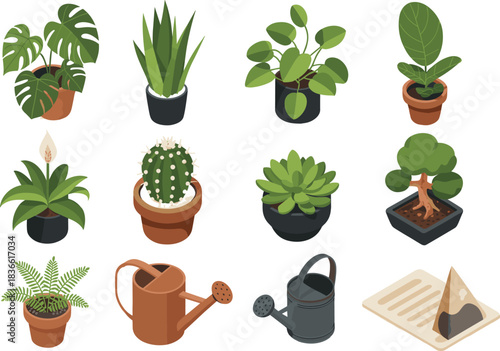 Isometric illustration set of potted houseplants, succulents, cactus, bonsai, foliage plants with watering cans and gardening tools, indoor plant collection